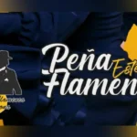 Cabecera de la Peña Flamenca Estepona